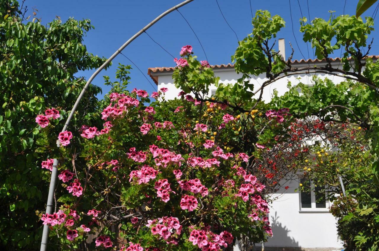 B&B Les Chambres Rooms & Suite Santa Teresa Gallura Eksteriør billede